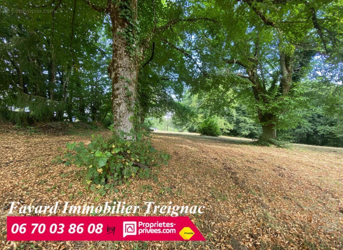 Terrain à TREIGNAC