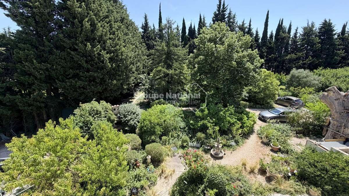 Courthezon - ensemble immobilier de 385 m² en campagne - photo 22