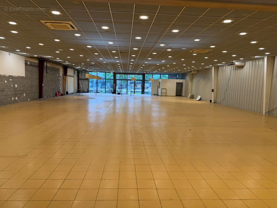 COLMAR - Zone Aérodrome - 4 rue Louis Blériot - 709 m2 - photo 2
