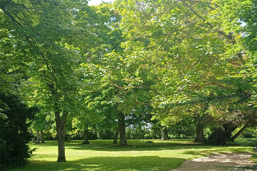 Maison à FAYE-LA-VINEUSE