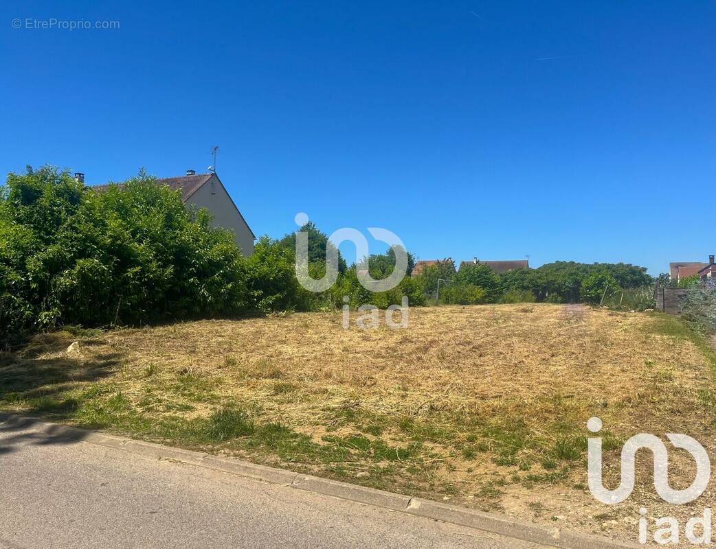 Photo 1 - Terrain à GREZ-SUR-LOING