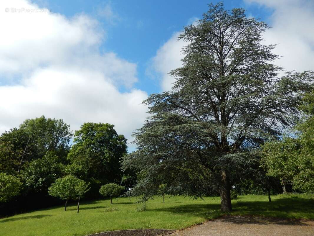 Cour et Jardin de la propriété à vendre à Vétraz Monthoux - Maison à VETRAZ-MONTHOUX