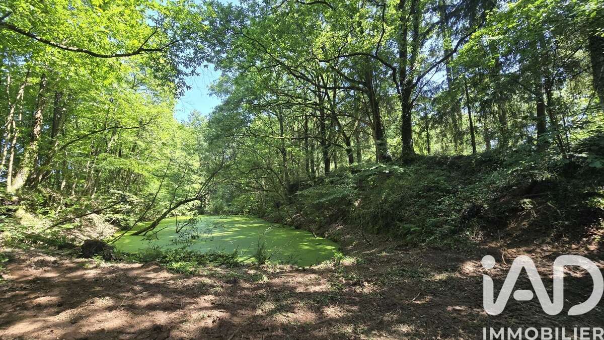 Photo 3 - Terrain à VIEUX-VY-SUR-COUESNON