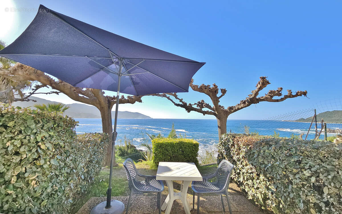 30 minutes d'AJACCIO - Immeuble de 6 appartements pieds dans l'eau - photo 15