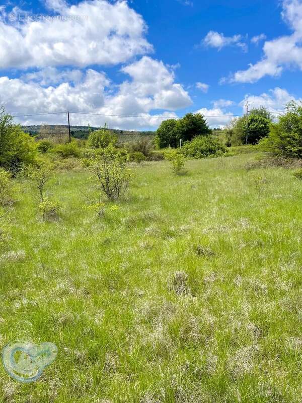 Terrain à SAINT-CHRISTOL