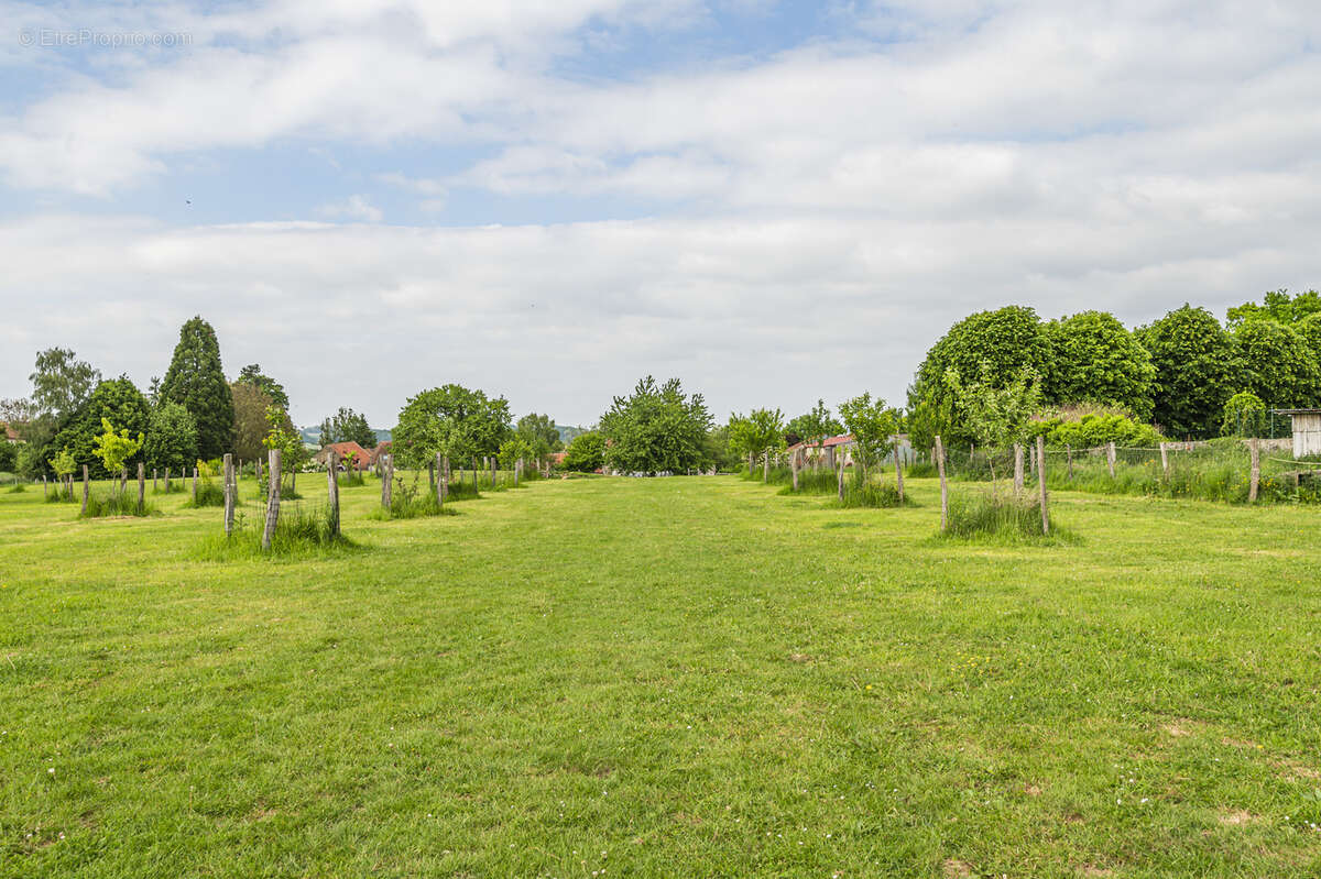 Un Domaine offrant près de 1 400 m2 de bâtis - photo 18
