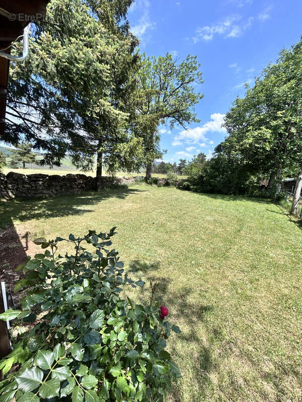 En Cévennes, CAMPRIEU, chalet, à vendre - photo 4