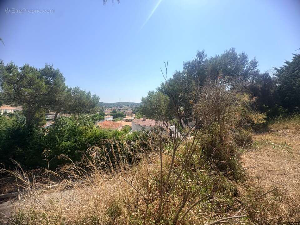 Terrain 407 m² à Ensues-La-Redonne  - photo 3