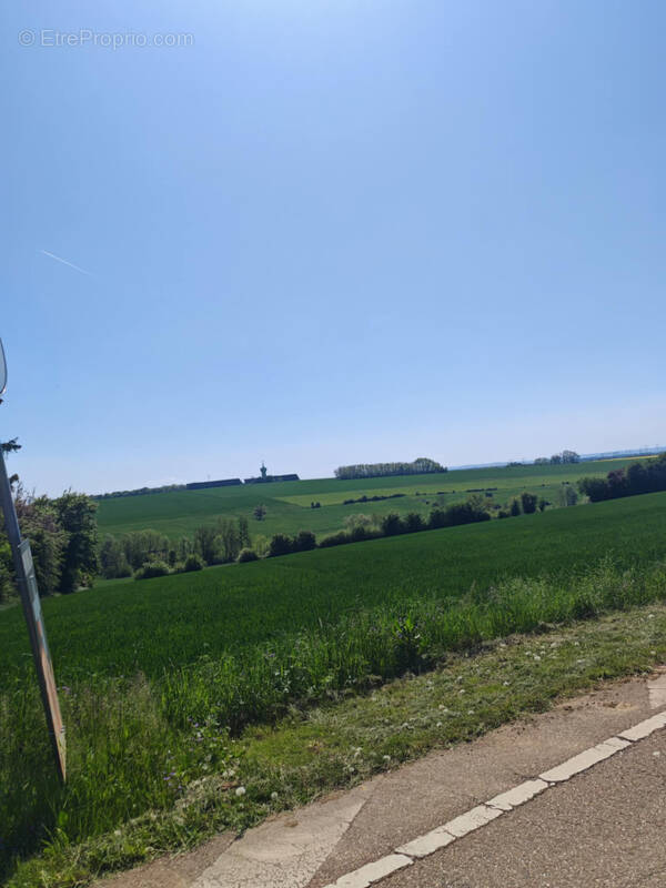 Terrain à POURNOY-LA-GRASSE