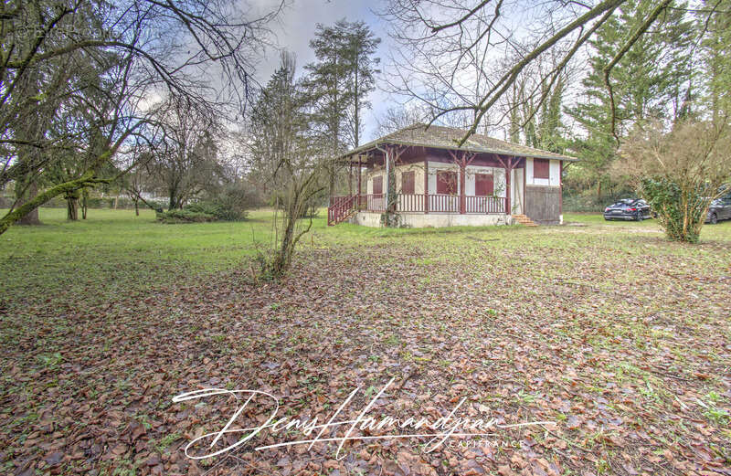 Terrain à SAINT-MAURICE-DE-GOURDANS
