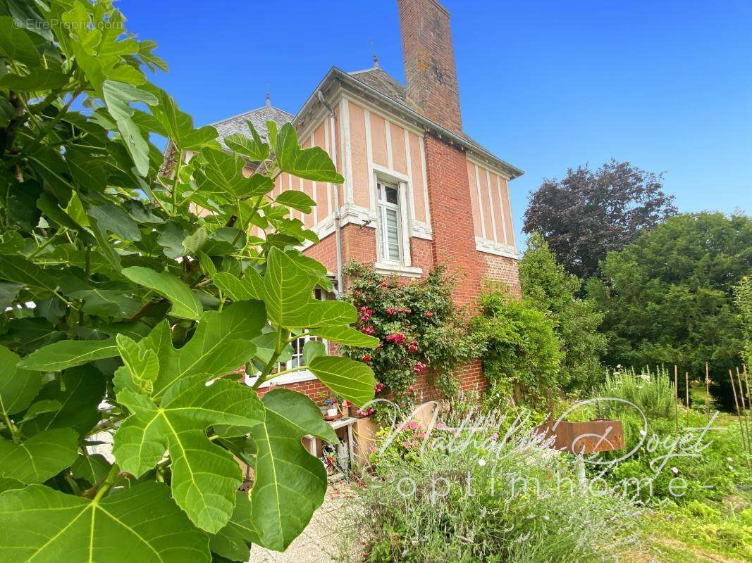Maison à vendre 6 pièces VIGNEUX HOCQUET (02) - photo 43