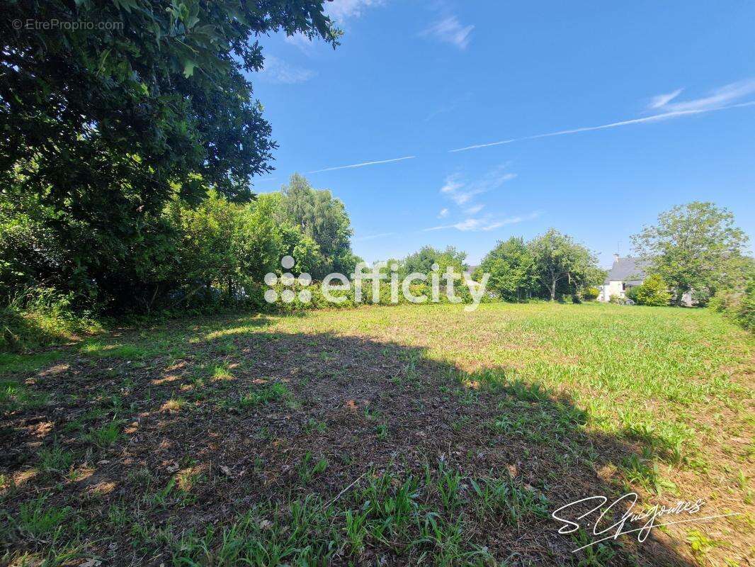 Terrain 970 m² à Gourin  - photo 3