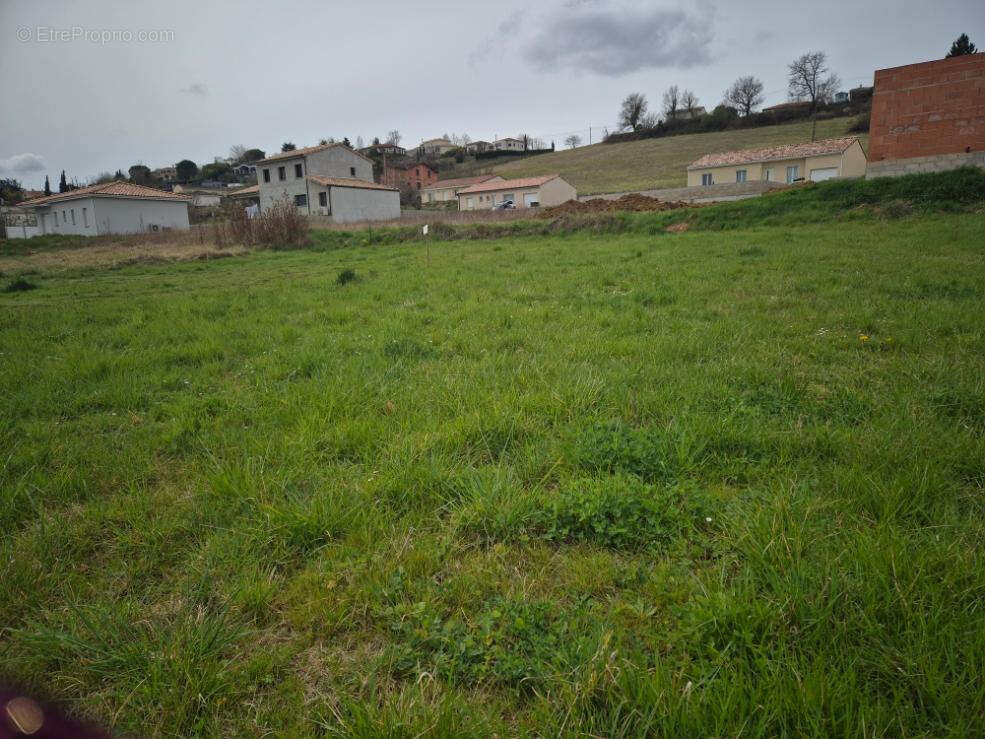 Terrain à RABASTENS