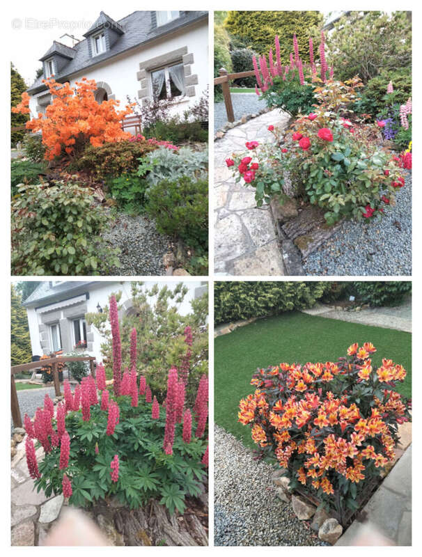 Maison à SAINT-JEAN-DU-DOIGT