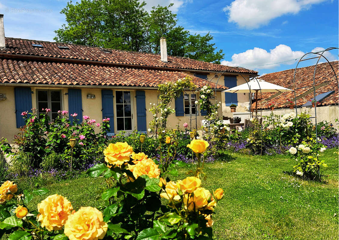 Maison à AUBETERRE-SUR-DRONNE