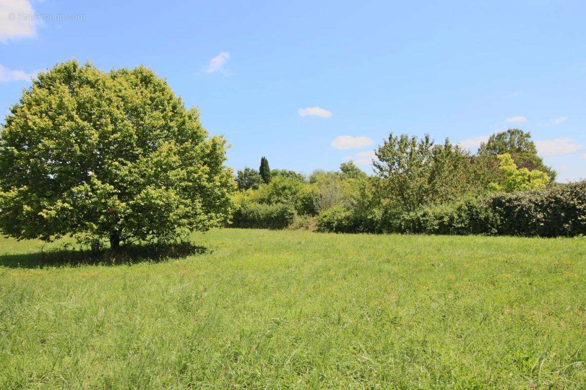Terrain à PUY-L&#039;EVEQUE