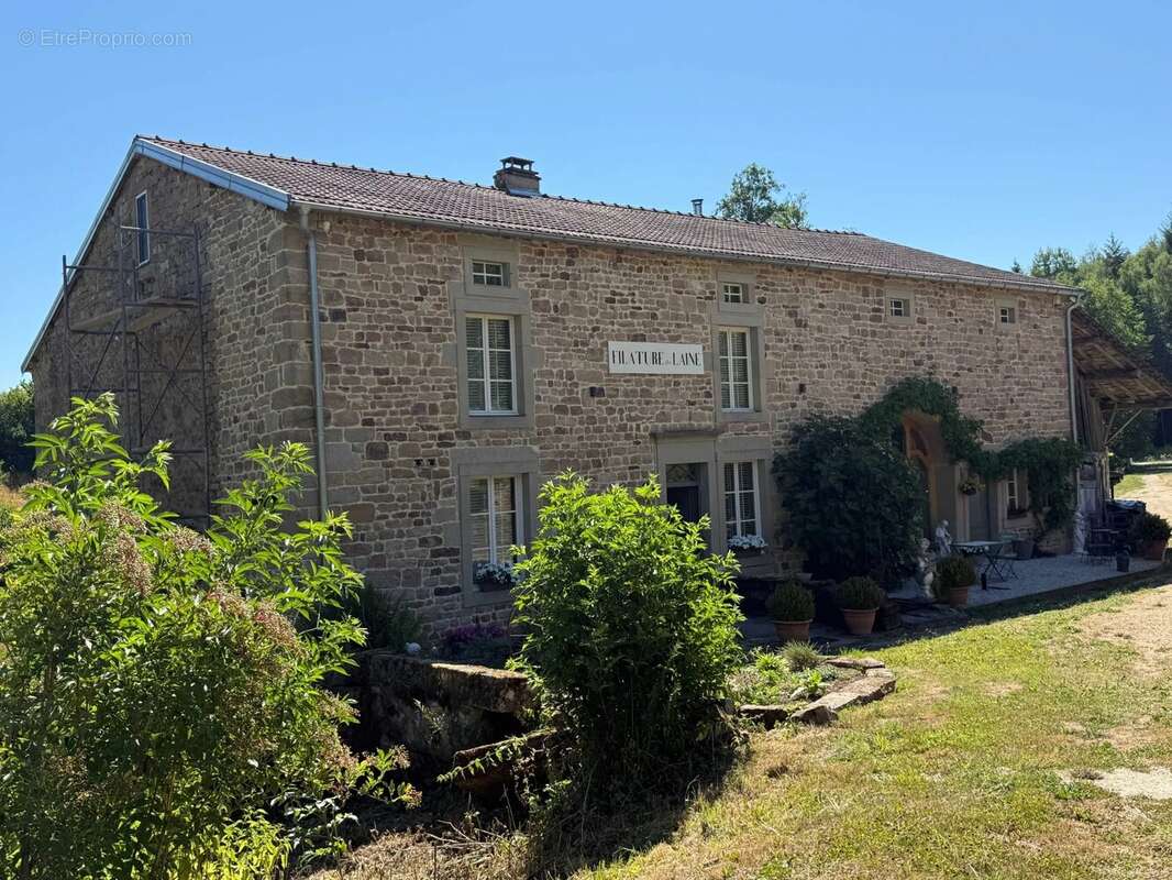 Moulin à laine ancien, entièrement rénové, en site préservé, plus de 8 hectares – Idéal MINI-CAMPING / B&B - photo 33