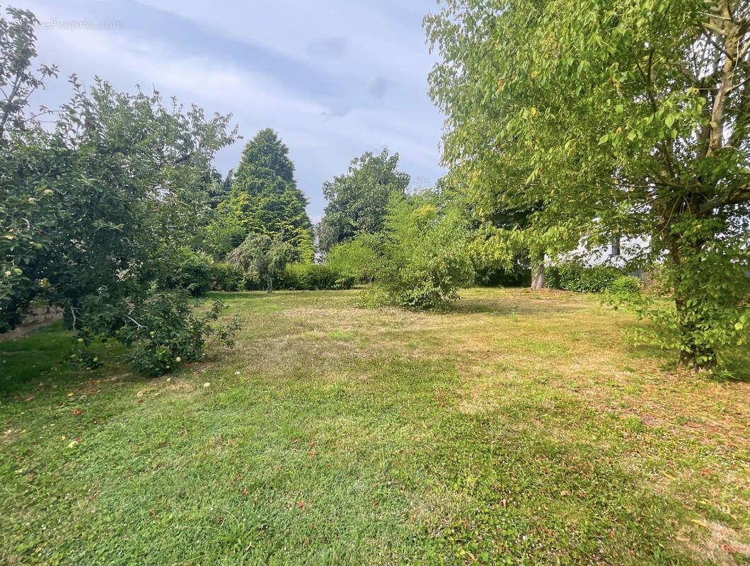 Terrain à SAINT-AVE