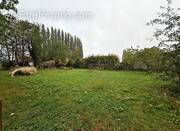 Terrain à AUCHY-LEZ-ORCHIES