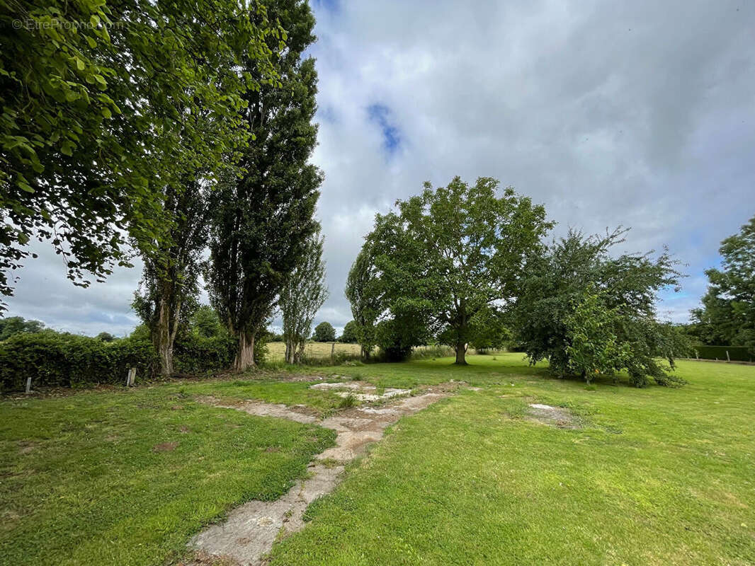 Terrain à LE TORQUESNE