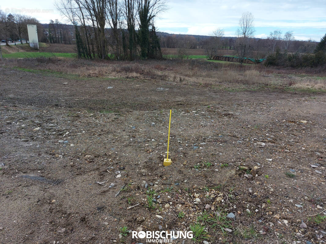 Terrain à HIRTZBACH