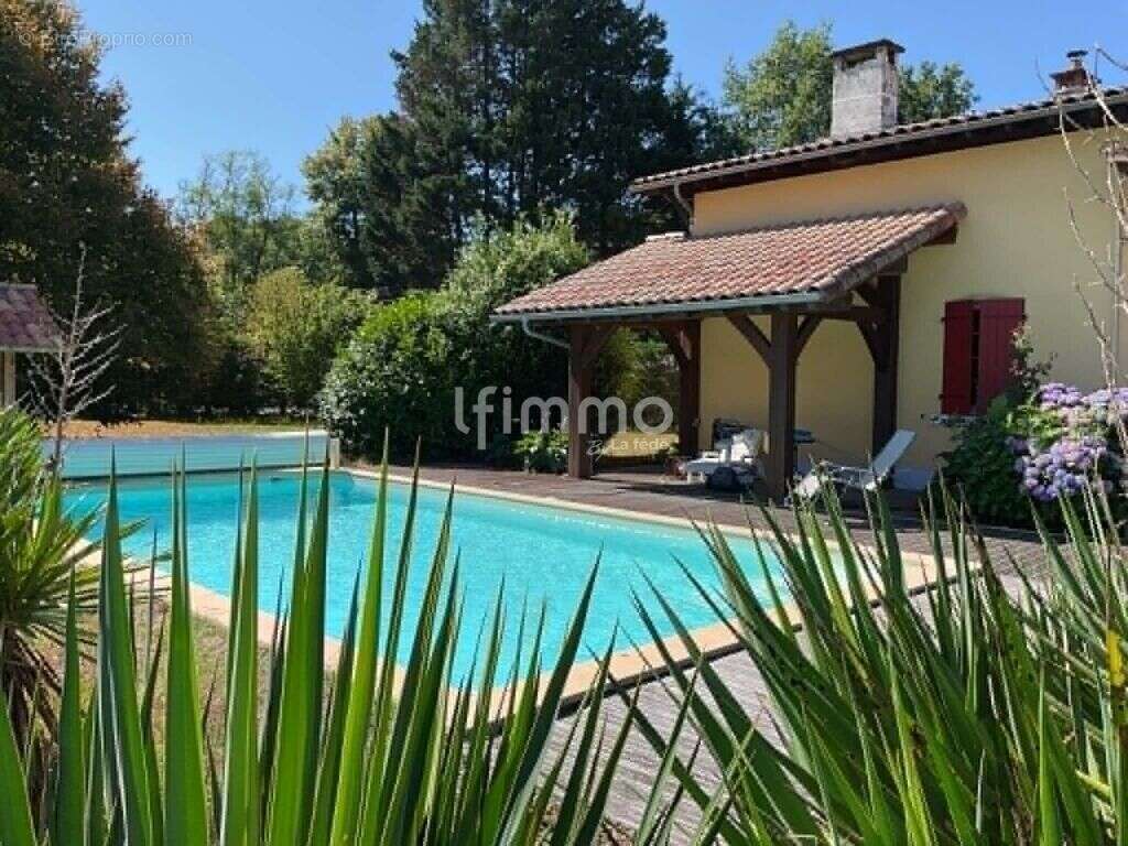 Maison landaise avec piscine, dépendance et terrain - photo 4
