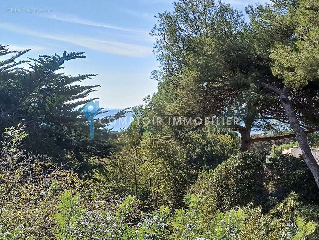 Maison saint clair sud - photo 8