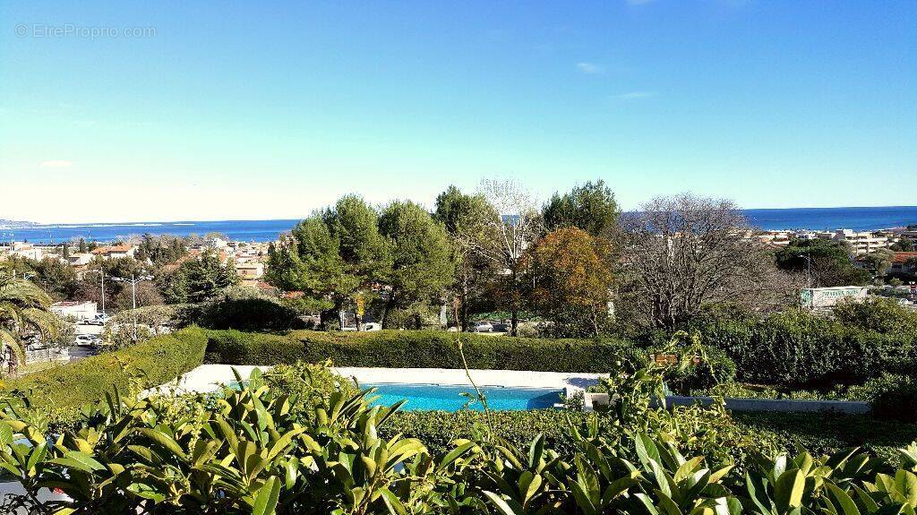 Appartement à VILLENEUVE-LOUBET