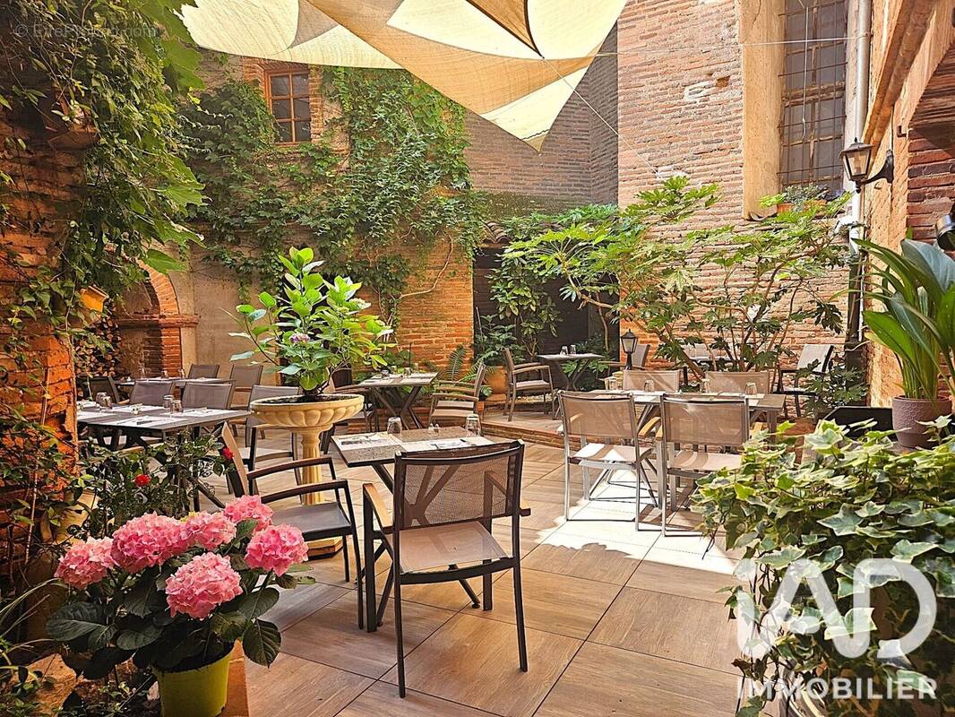 Photo 1 - Appartement à LISLE-SUR-TARN