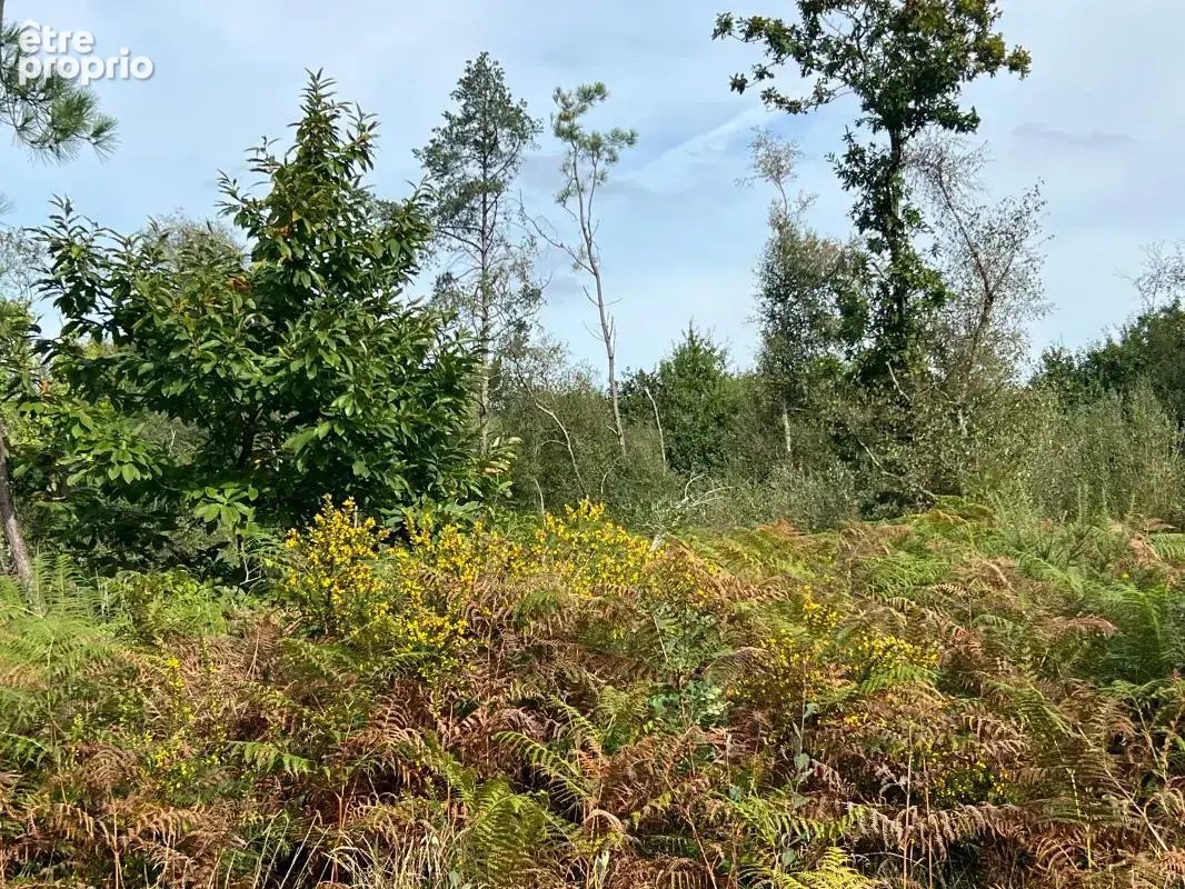 À vendre – argol – finistère – presqu’île de crozon-exceptionnel terrain de loisirs de 40 000 m² - photo 64