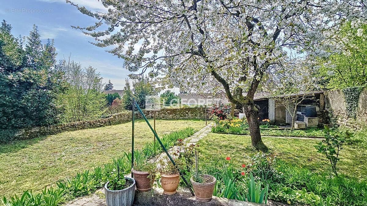 Maison à SAINT-MARTIN-DU-TERTRE