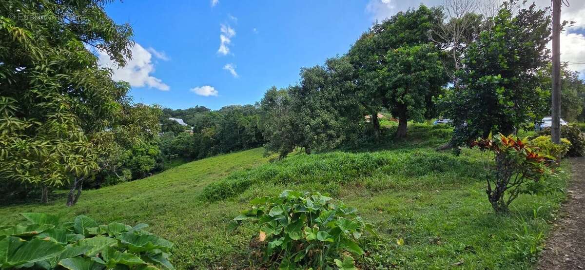Beau terrain 1333 m² - le robert - photo 4