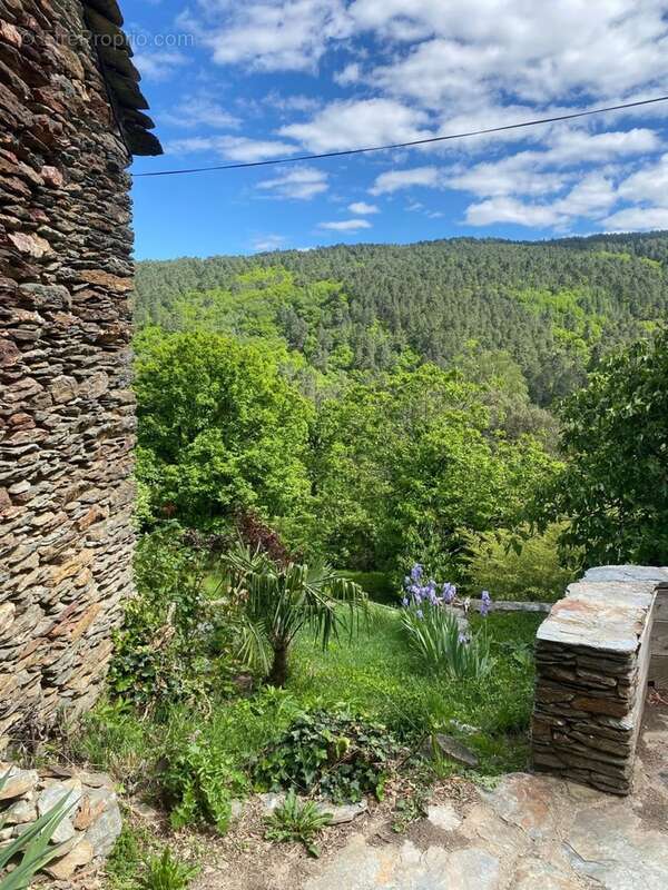 Maison de hameau à vendre SAINT MARTIN DE BOUBAUX (48) - photo 21