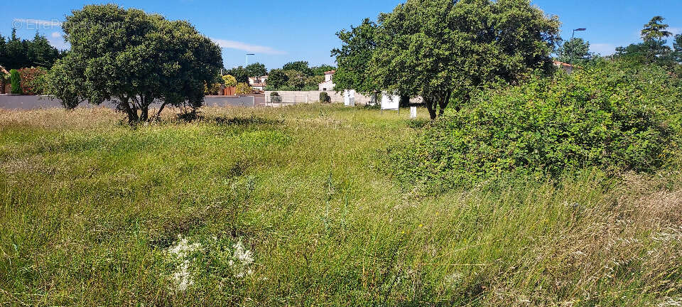 Terrain 441 m² à Avignon  - photo 3