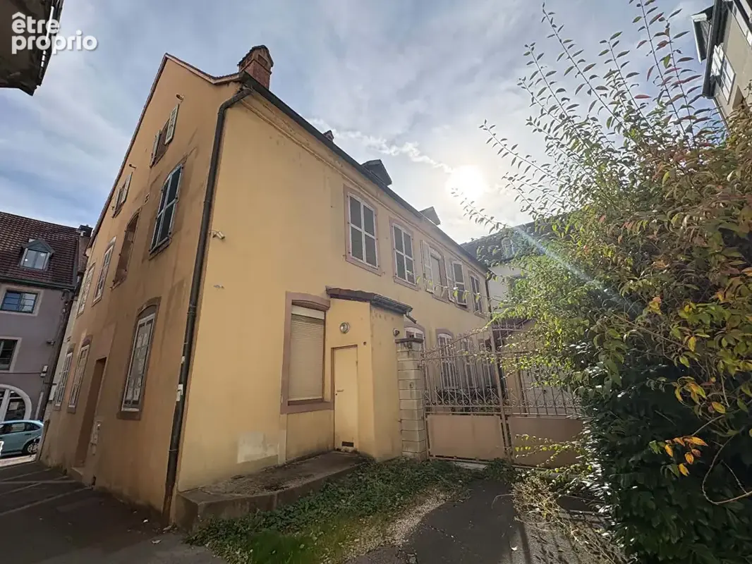 Immeuble Montbeliard 364.88 m2 - photo 2