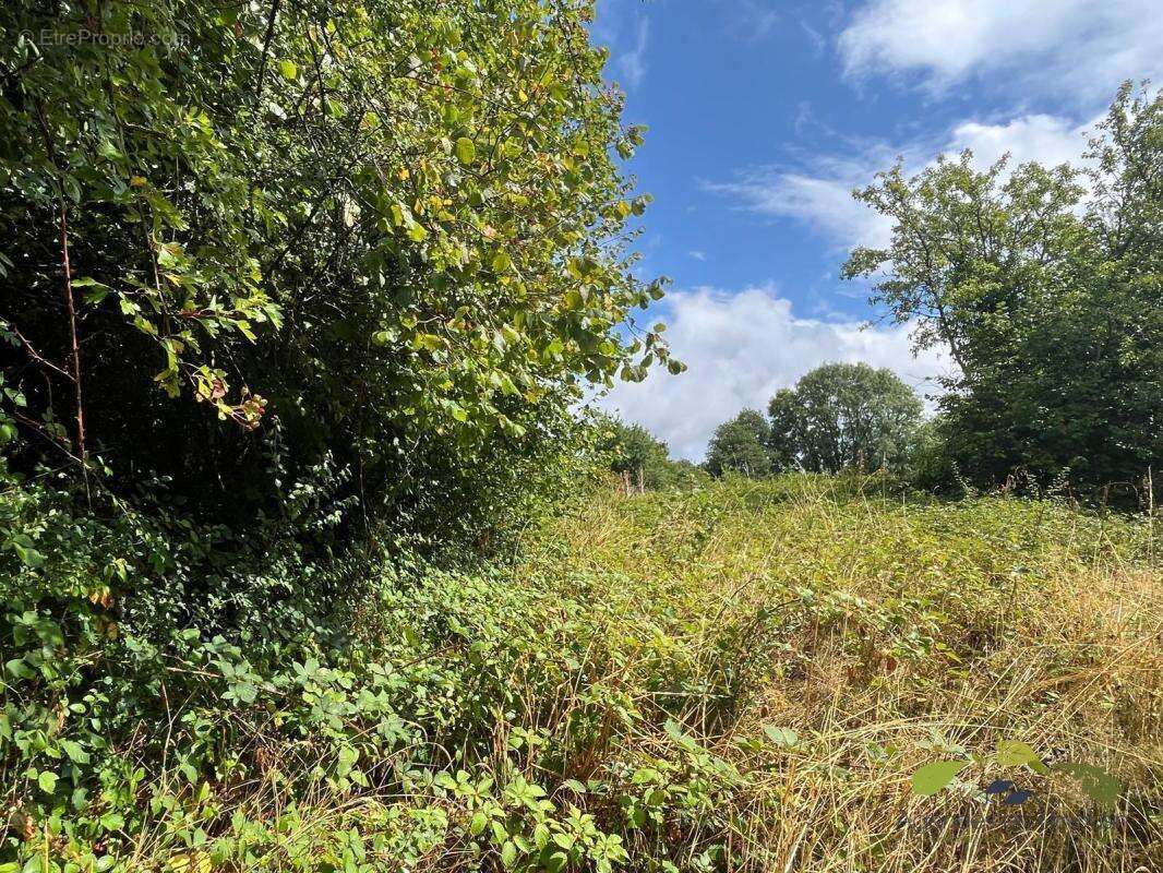 Terrain à MONTBOUCHER
