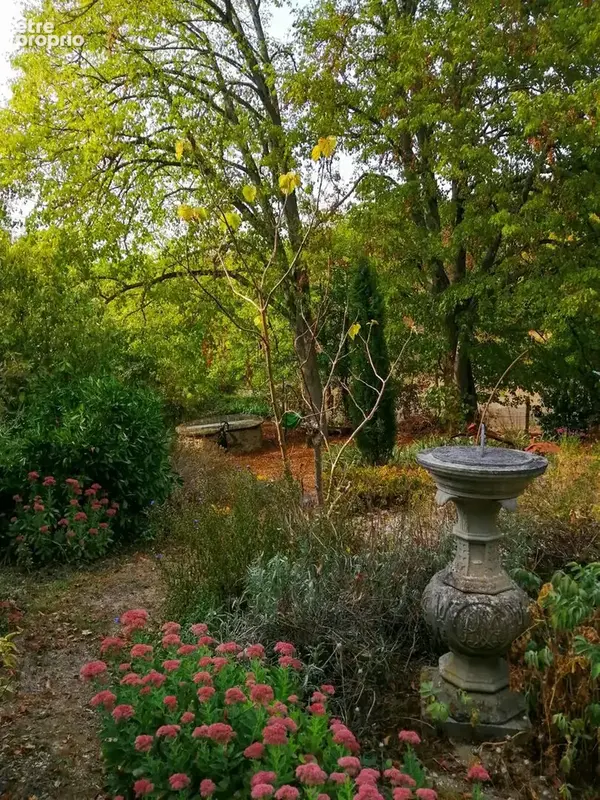 jardin