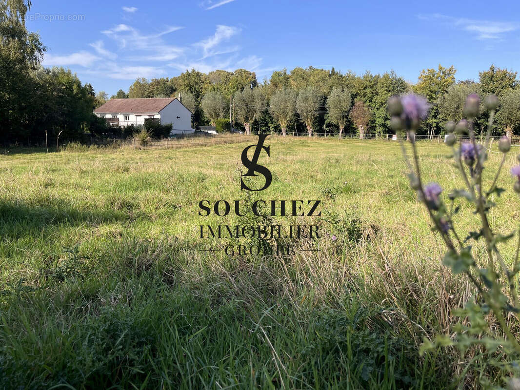 Terrain à BERLES-MONCHEL