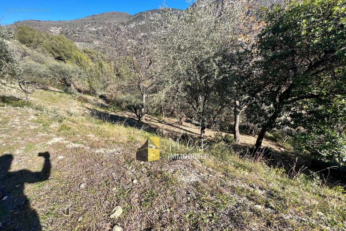 Terrain à CASTAGNIERS