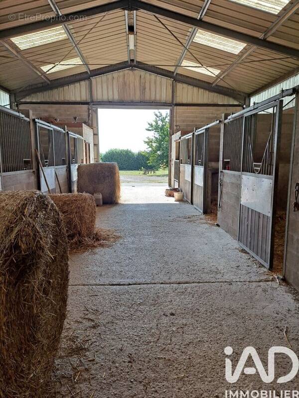 Photo 1 - Maison à CHENOISE