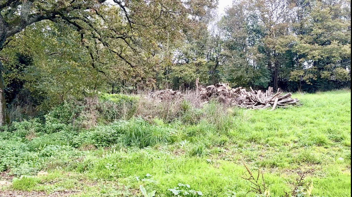 Terrain à LA ROCHE-SUR-YON