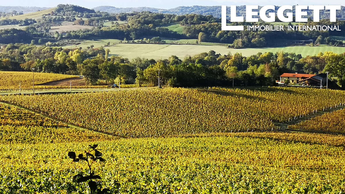 Maison à SAINT-MONT