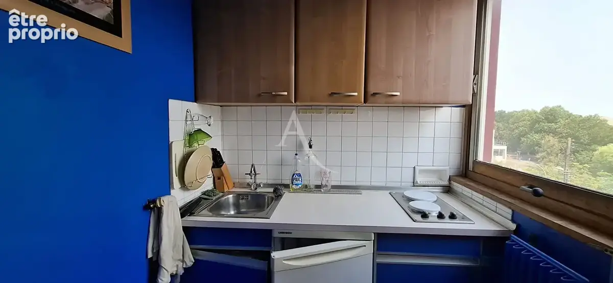 Appartement  1 pièce 29.3 m2 avec cave et stationnement - photo 4