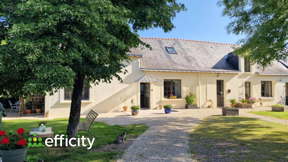 Maison à ROCHEFORT-SUR-LOIRE