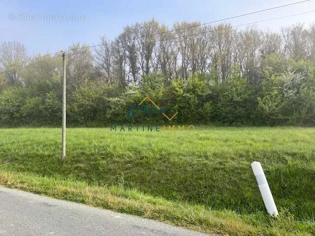 Terrain a vendre entre marmande et casteljaloux - photo 2