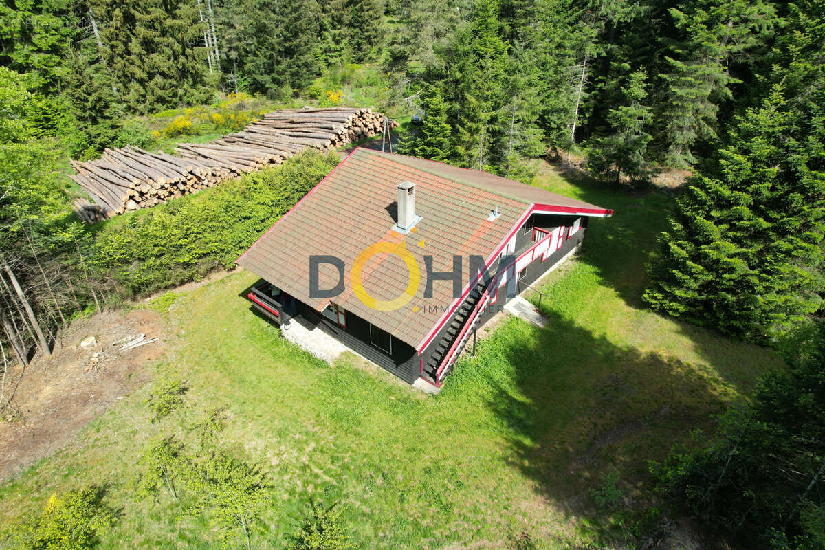 Chalet sur 7819 m2 de terrain + possibilite 15130 m2 en plus  . 155 m2 habitables - photo 13