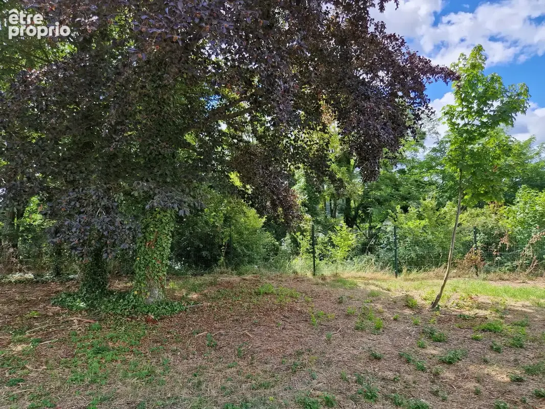 Vente exceptionnel terrain constructible bord de loire - photo 6