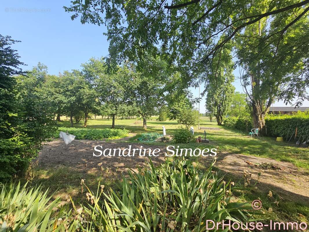 Maison à MONTMORILLON