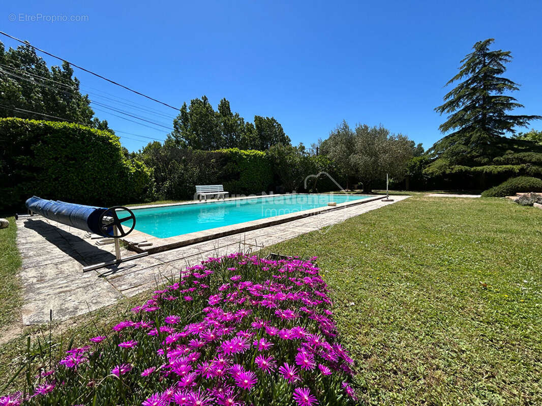 Maison 5 chambres sur parcelle de 1364 m² avec piscine et grand garage - Aubignan - photo 3