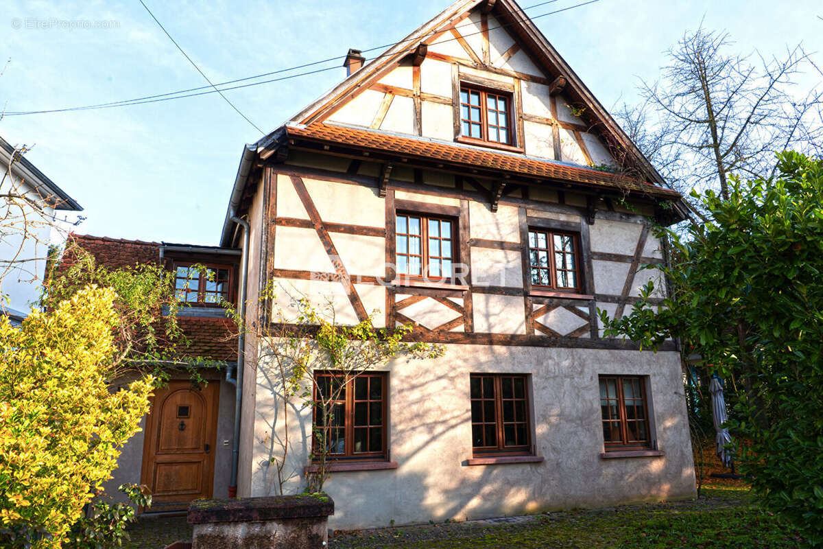 Maison Strasbourg 7 pièces 223,75 m2 - photo 5
